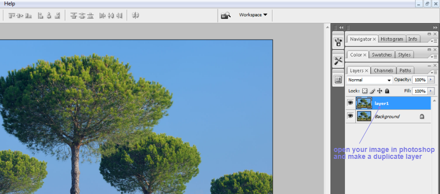 clean tree background in photoshop1