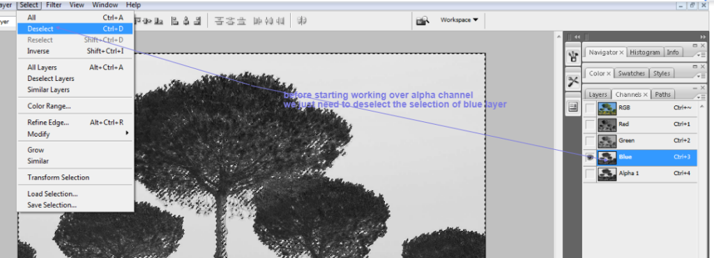 clean tree background in photoshop3