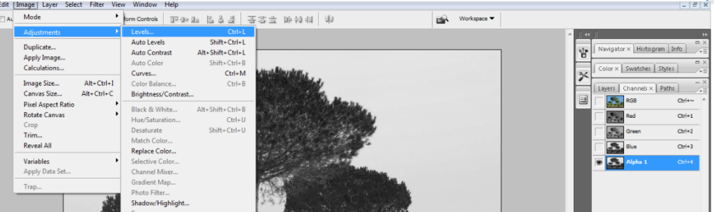 clean tree background in photoshop4