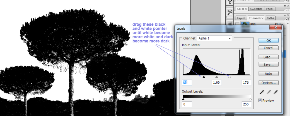 clean tree background in photoshop5