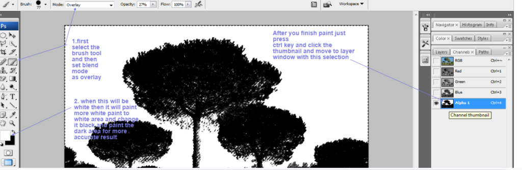 clean tree background in photoshop6