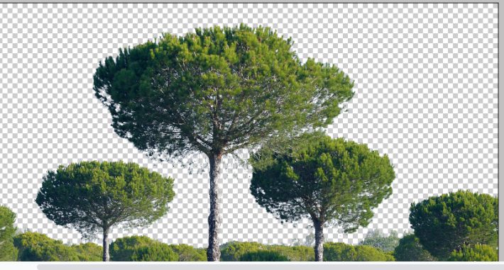 clean tree background in photoshop8