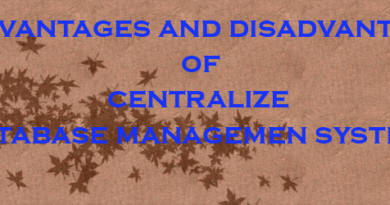 centralize database system