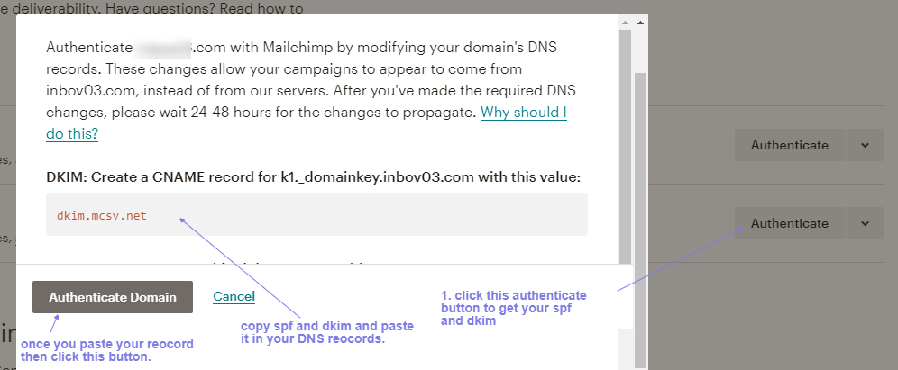 get real value for mailchimp dpf and dkim