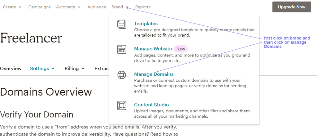 mailchimp verify domain