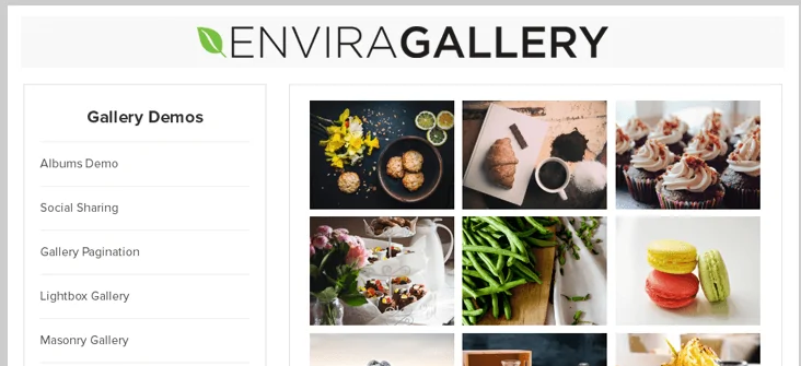envira gallery wordpress gallery plugin