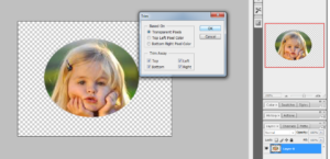 crop the circular image in photoshop 8