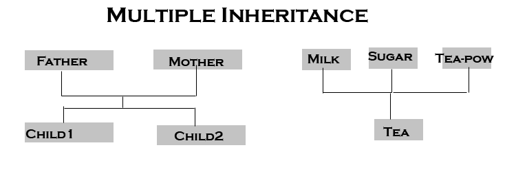 multiple inheritance example