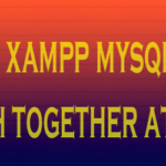 use of xampp and mysql workbench together