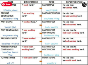 Types of Sentences in English/Sentences Classifications|A5THEORY