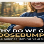 Why Do We Get Goosebumps feature img