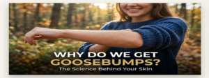 Why Do We Get Goosebumps feature img