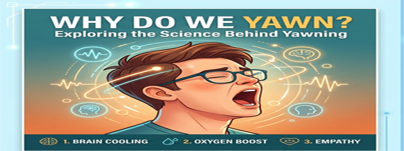 Why Do We Yawn? The Fascinating Science Behind Yawning